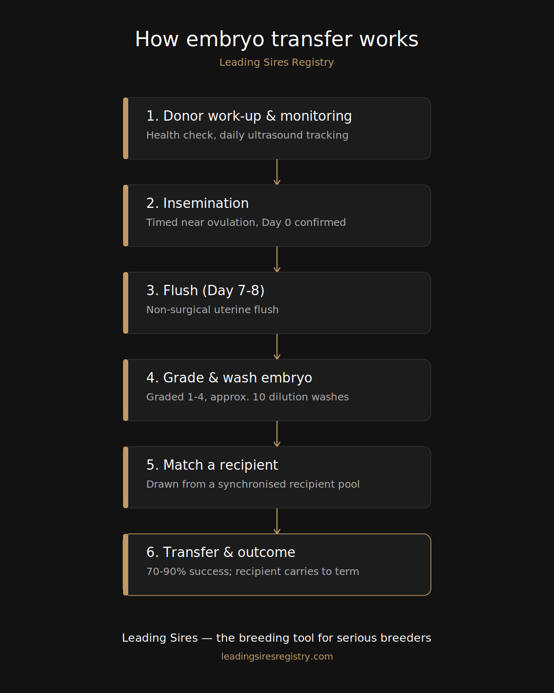 et_process_diagram.png